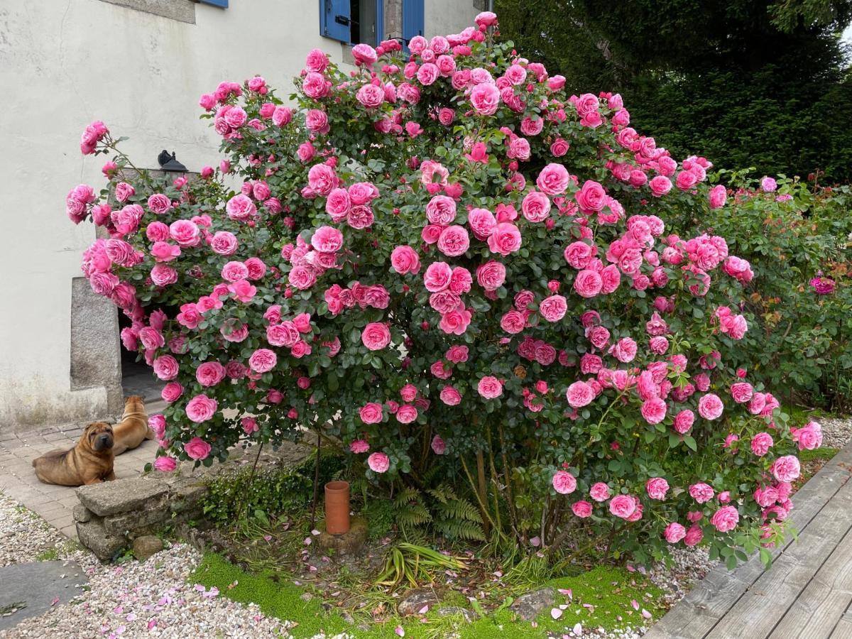 Chez Nosch Bed and Breakfast Plouegat-Guerand Exteriör bild